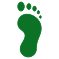 Valoración del Pie